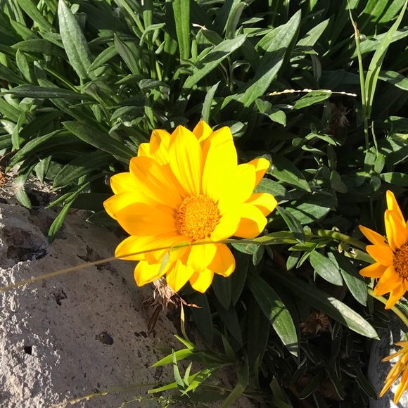 Feel free make an offer - Picture 1 of 1